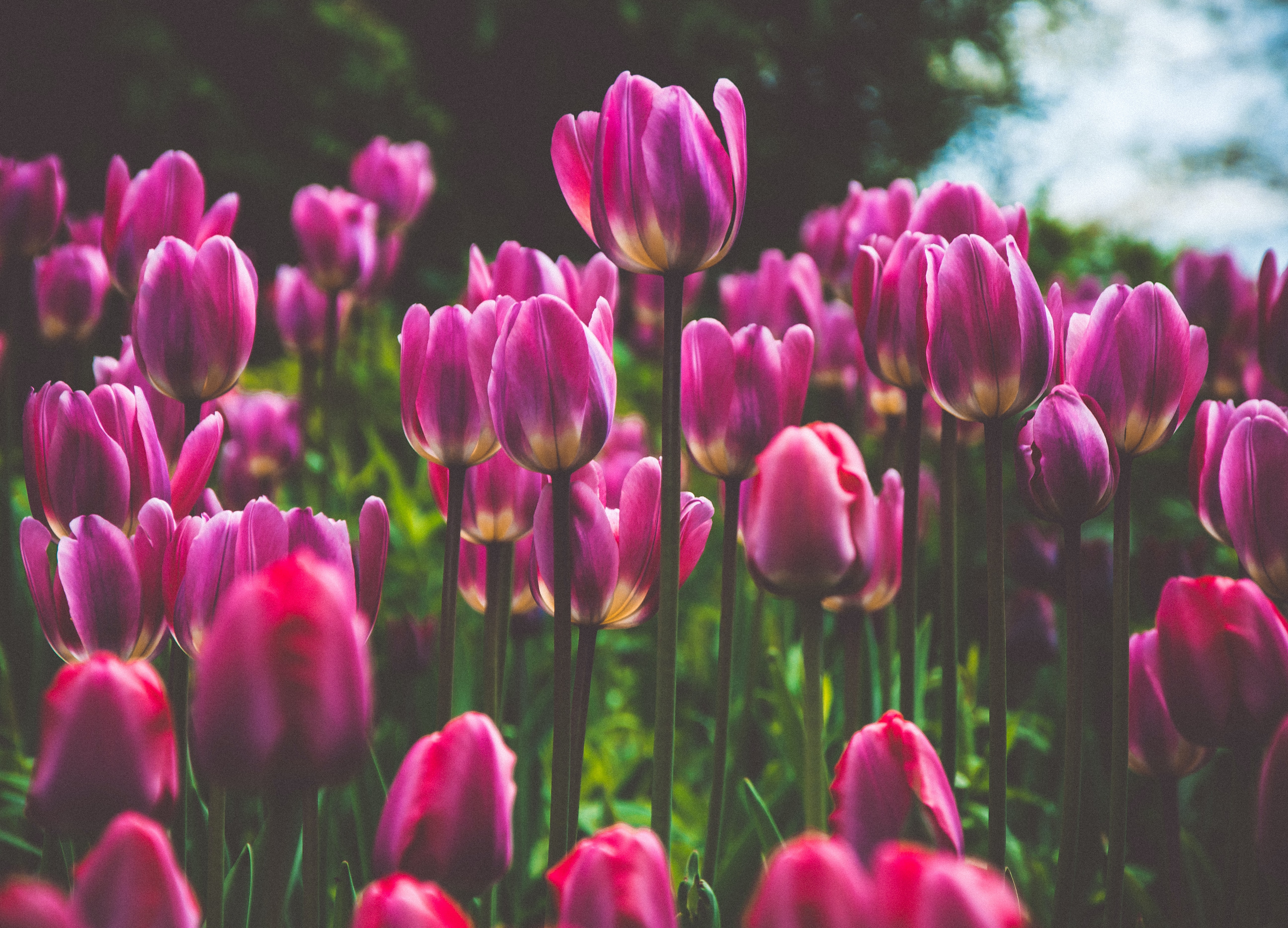 美容整形をはじめたい人へ